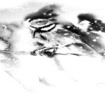 (അ)മരം